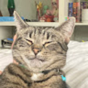 Meet your Posher, Ava